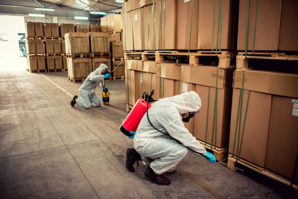 Best Best Pest Control Companies  in Mount Prospect, IL