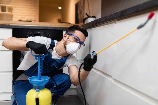 Best Pest Inspection Near Me  in Mount Prospect, IL