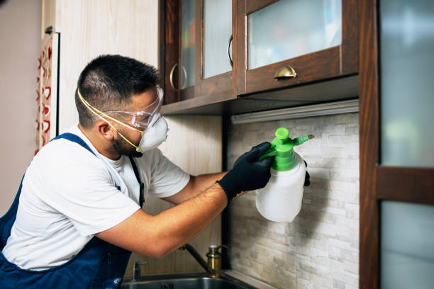 Best Wildlife Control Services  in Mount Prospect, IL