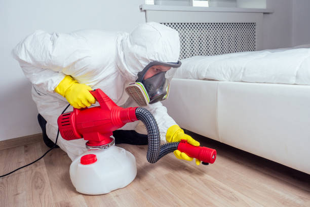 Best Local Pest Control Services  in Mount Prospect, IL