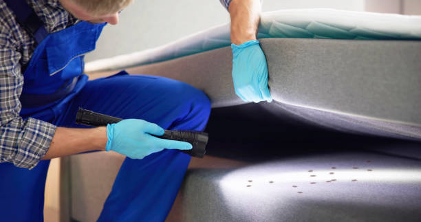  Mount Prospect, IL Pest Control Pros