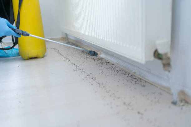 Best Commercial Pest Control Services  in Mount Prospect, IL