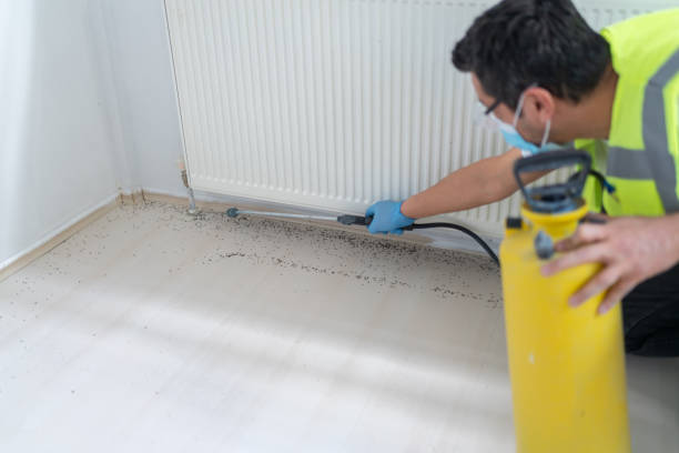 Best Wildlife Control Services  in Mount Prospect, IL