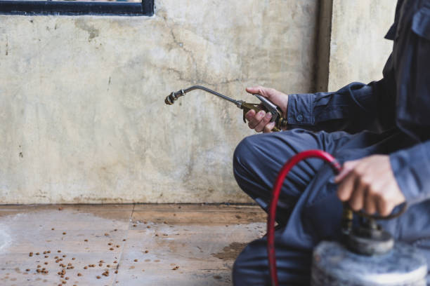 Best Best Pest Control Companies  in Mount Prospect, IL
